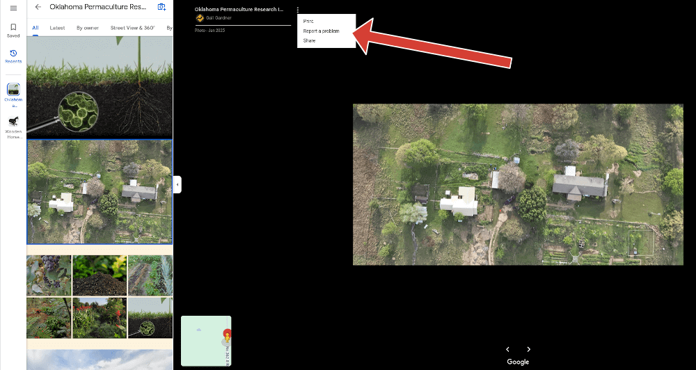 How to report a quality issue with an image in a Google business profile review.